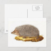 Waldigel Postkarte (Vorne/Hinten)