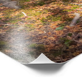 Waldimpression Fotodruck (Ecke)