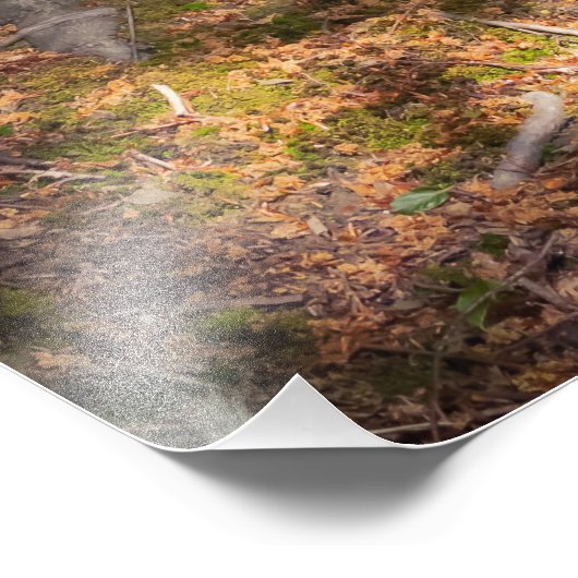 Waldimpression Fotodruck (Ecke)