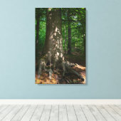 Waldimpression Leinwanddruck (Insitu (Holzboden))