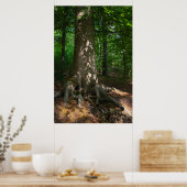 Waldimpression Poster (Küche)