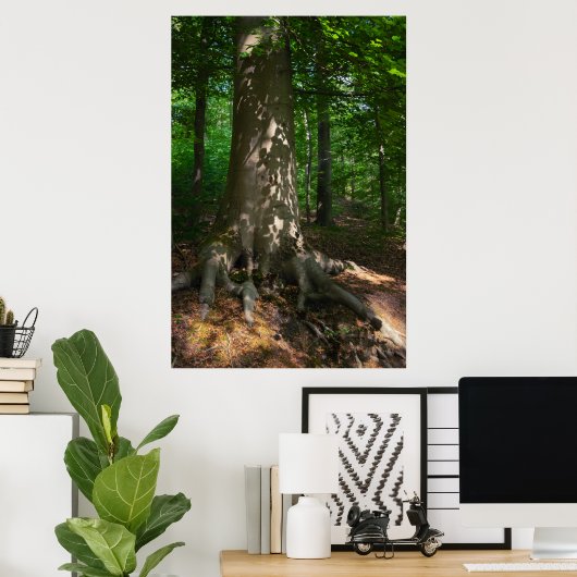 Waldimpression Poster (Heimbüro)