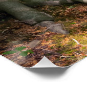 Waldimpression Poster (Ecke)