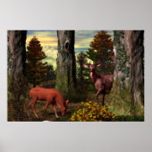 Waldkalm Poster (Vorne)