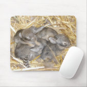 Waldkaninchen-Häschen Mousepad (Mit Mouse)
