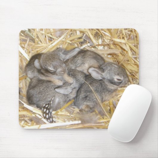 Waldkaninchen-Häschen Mousepad (Mit Mouse)