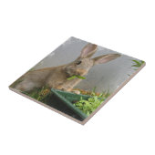 Waldkaninchen-Kaninchen-Fliese Fliese (Seite)