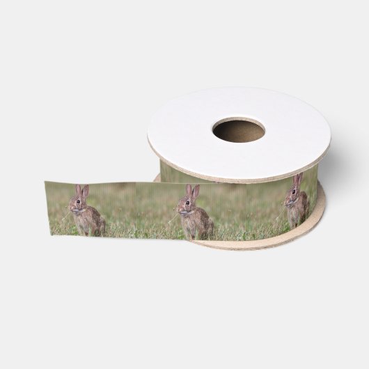 Waldkaninchen-Kaninchen Ripsband (Spule)
