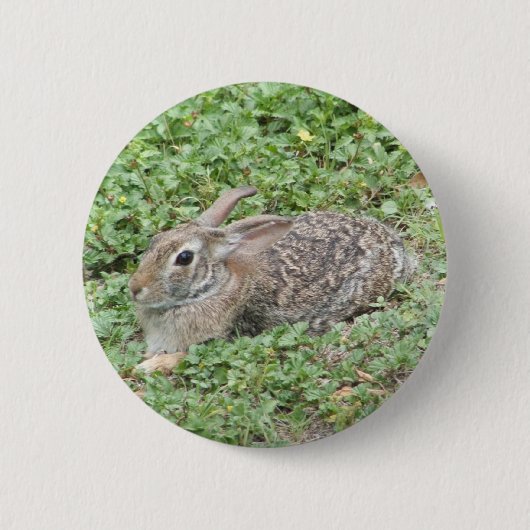 Waldkaninchenkaninchen Button (Vorderseite)