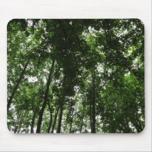Waldkanopie 01 mousepad