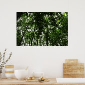 Waldkanopie 01 poster (Küche)