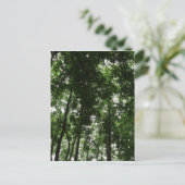 Waldkanopie 01 postkarte (Stehend Vorderseite)