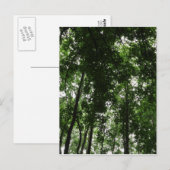 Waldkanopie 01 postkarte (Vorne/Hinten)