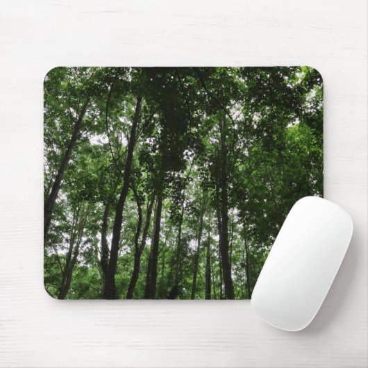 Waldkanopie 02 mousepad (Mit Mouse)