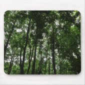 Waldkanopie 02 mousepad (Vorne)