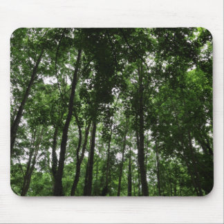 Waldkanopie 02 mousepad