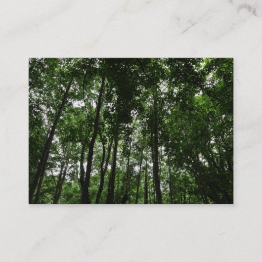 Waldkanopie 02 visitenkarte (Vorderseite)