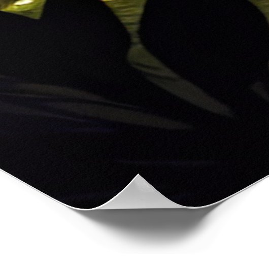 Waldkaskade, ein reizender Wasserfall Poster (Ecke)