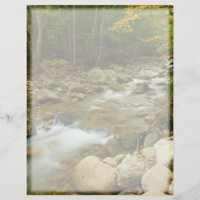 Waldkaskade Letterhead (Vorderseite)