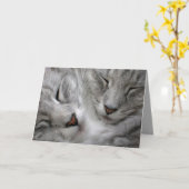 Waldkatzen-Geburtstagskarte Karte (Gelbe Blume)