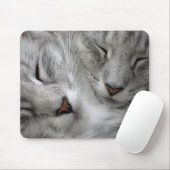 Waldkatzen-Mäusematte Mousepad (Mit Mouse)