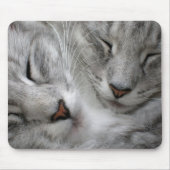Waldkatzen-Mäusematte Mousepad (Vorne)