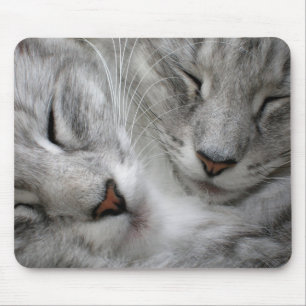 Waldkatzen-Mäusematte Mousepad