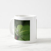 Waldknospen der Blume Kaffeetasse (Vorderseite Links)