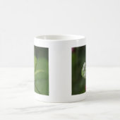 Waldknospen der Blume Kaffeetasse (Mittel)