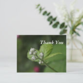 Waldknospen der Blume Postkarte (Stehend Vorderseite)