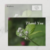 Waldknospen der Blume Postkarte (Vorne/Hinten)