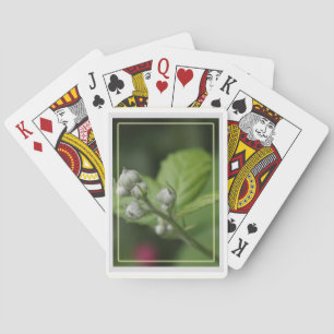Waldknospen der Blume Spielkarten