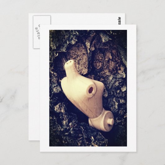 Waldkörper Postkarte (Vorne/Hinten)