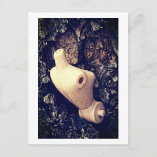 Waldkörper Postkarte