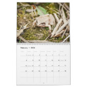 Waldkreaturen - Natur Kalender (Feb 2026)