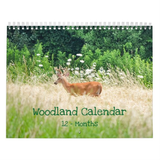 Waldkreaturen - Natur Kalender (Titelbild)