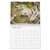 Waldkreaturen Naturkalender Kalender (Feb 2026)