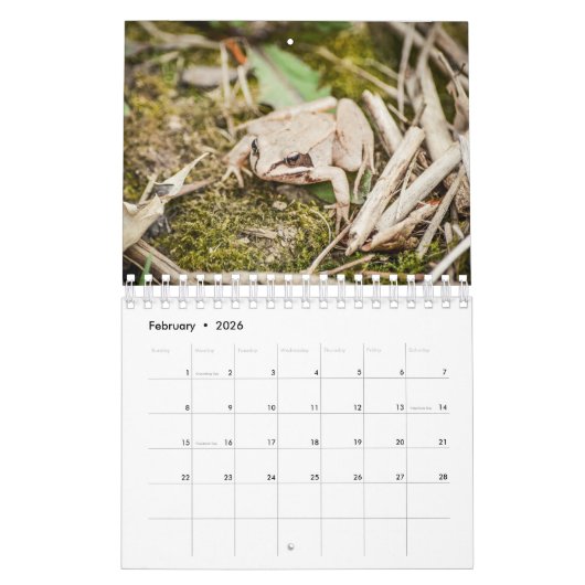 Waldkreaturen Naturkalender Kalender (Feb 2026)