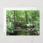 Waldkrebs Postkarte (Vorne/Hinten)