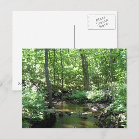 Waldkrebs Postkarte (Vorne/Hinten)