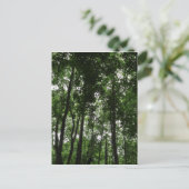 Waldkrone 02 postkarte (Stehend Vorderseite)