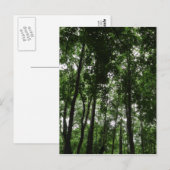 Waldkrone 02 postkarte (Vorne/Hinten)