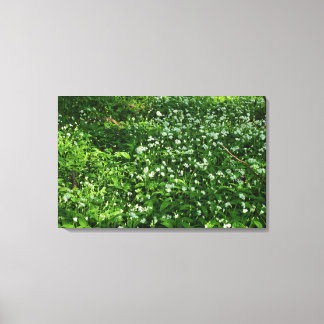 Waldland-Blume Leinwanddruck