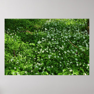 Waldland-Blume Poster