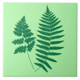 Waldland Fern, Smaragd und leicht grün Fliese