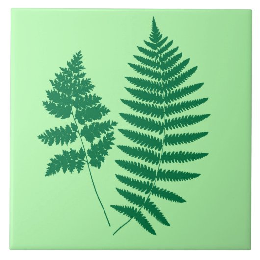 Waldland Fern, Smaragd und leicht grün Fliese (Vorderseite)
