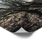 Waldland im Winter Kunstposter Poster (Ecke)