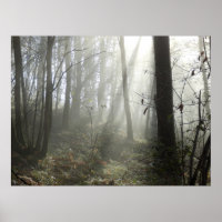 Waldland Morgennebel-Poster