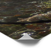 Waldland Morgennebel-Poster Poster (Ecke)