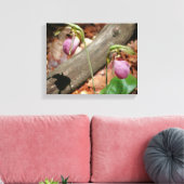 Waldland Pink Wilde Lady Slipper Orchid Blume Leinwanddruck (Insitu (Wohnzimmer))